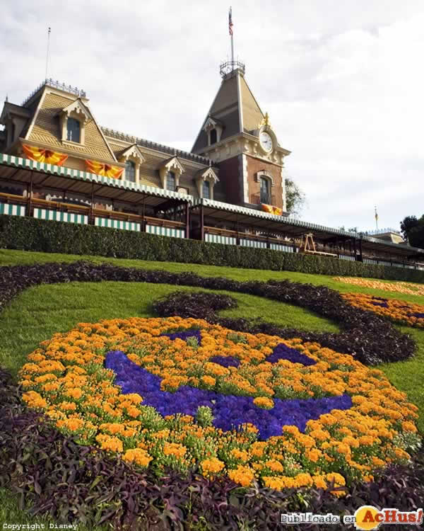 Imagen de Disneyland California  Halloween Time